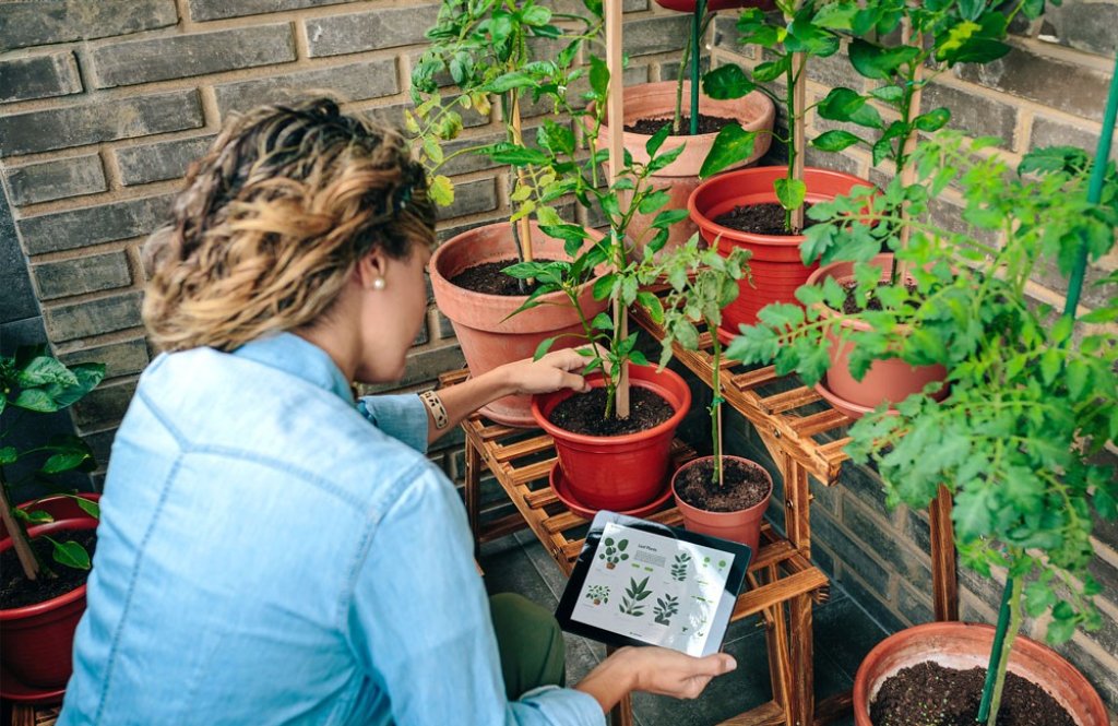 Junge Frau beim Identifizieren von Pflanzen auf ihrem Tablet. | Jeune femme identifiant des plantes sur sa tablette. | Young woman identifying plants on her tablet.